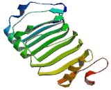 Ras Suppressor Protein 1 (RSU1)