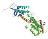 RasGEF Domain Family, Member 1C (RASGEF1C)