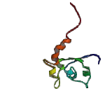 Receptor Accessory Protein 3 (REEP3)