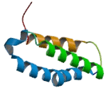 Receptor Activity Modifying Protein 1 (RAMP1)