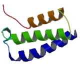 Receptor Activity Modifying Protein 2 (RAMP2)