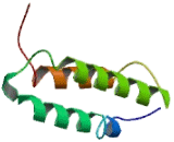 Receptor Activity Modifying Protein 3 (RAMP3)