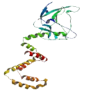 Ligand Dependent Nuclear Receptor Interacting Factor 1 (LRIF1)