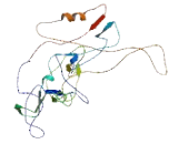 Receptor Transporter Protein 3 (RTP3)