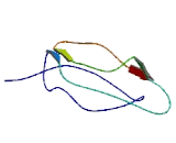 Regeneration Associated Muscle Protease (RAMP)