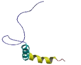 Regucalcin Gene Promotor Region Related Protein (RGPR)