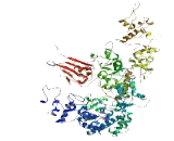 Mitogen Activated Protein Kinase Kinase Kinase 19 (MAP3K19)