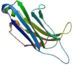 Regulating Synaptic Membrane Exocytosis 2 (RIMS2)