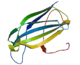 Regulating Synaptic Membrane Exocytosis 3 (RIMS3)