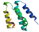 Regulation Of Nuclear Pre-mRNA Domain Containing Protein 1A (RPRD1A)