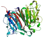 Regulator Of Chromosome Condensation 1 (RCC1)