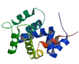 Regulator Of G Protein Signaling 11 (RGS11)