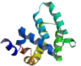 Regulator Of G Protein Signaling 13 (RGS13)