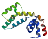 Regulator Of G Protein Signaling 17 (RGS17)