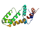 Regulator Of G Protein Signaling 2 (RGS2)