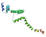 Regulator Of G Protein Signaling 6 (RGS6)