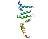 Regulator Of G Protein Signaling 7 (RGS7)