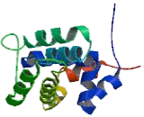 Regulator Of G Protein Signaling 9 (RGS9)