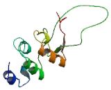 Regulatory Factor X Associated Ankyrin Containing Protein (RFXANK)