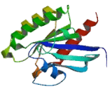 Related RAS Viral Oncogene Homolog (RRAS)