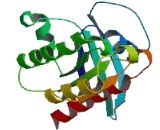 Related RAS Viral Oncogene Homolog 2 (RRAS2)