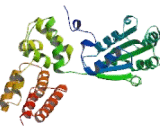 Replication Factor C2 (RFC2)