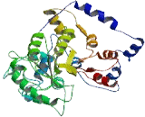 Repulsive Guidance Molecule A (RGMA)