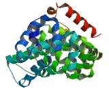 Required For Cell Differentiation 1 Homolog (RQCD1)