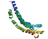 Required For Meiotic Nuclear Division 5A (RMND5A)