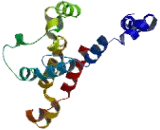 Requiring Fifty Three 1 Homolog (RFT1)