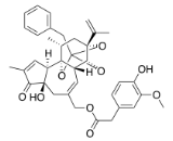 Resiniferatoxin (RTX)