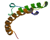 Resistance To Inhibitors Of Cholinesterase 3 Homolog (RIC3)