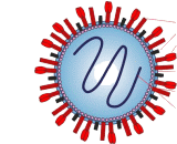 Respiratory Syncytial Virus (RSV)