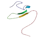 Response Gene To Complement 32 (RGC32)