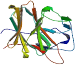 Ret Finger Protein Like Protein 3 (RFPL3)