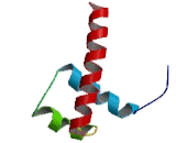 Retina And Anterior Neural Fold Homeobox Protein 2 (RAX2)