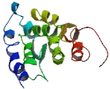 Retinal Degeneration Protein 3 (RD3)