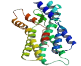 Retinal G Protein Coupled Receptor (RGR)