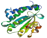 Retinaldehyde Binding Protein 1 (RLBP1)