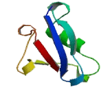 Retinitis Pigmentosa 1, Autosomal Dominant (RP1)