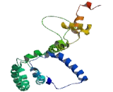 Retinitis Pigmentosa 9, Autosomal Dominant (RP9)