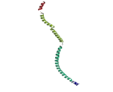 Retinoblastoma Binding Protein 8 (RBBP8)