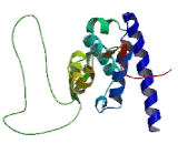 Retinoblastoma Like Protein 1 (RBL1)