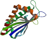 Retinoic Acid Early Transcript 1E (RAET1E)