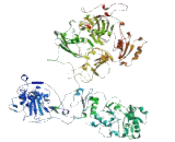 Retinoic Acid Induced Protein 1 (RAI1)