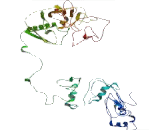 Retinoic Acid Induced Protein 2 (RAI2)