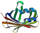 Retinol Binding Protein 1, Cellular (RBP1)