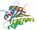 Retinol Dehydrogenase 10 (RDH10)