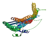 Retrotransposon Gag Domain Containing Protein 4 (RGAG4)