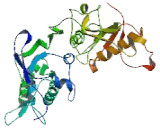 Retrotransposon Like Protein 1 (RTL1)